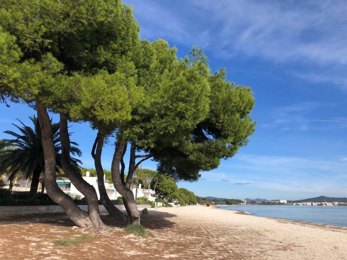 Apartamento Zodiac 7 Alcúdia